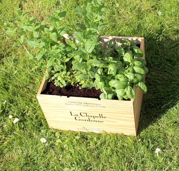 DIY recycler une jardiniere avec une caisse de vin