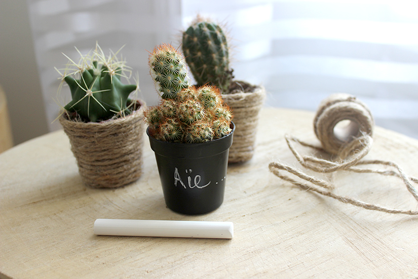 customiser des pots à cactus