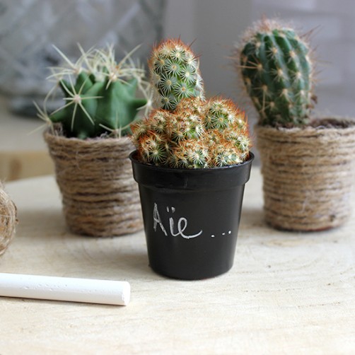 DIY : Customiser des pots à cactus